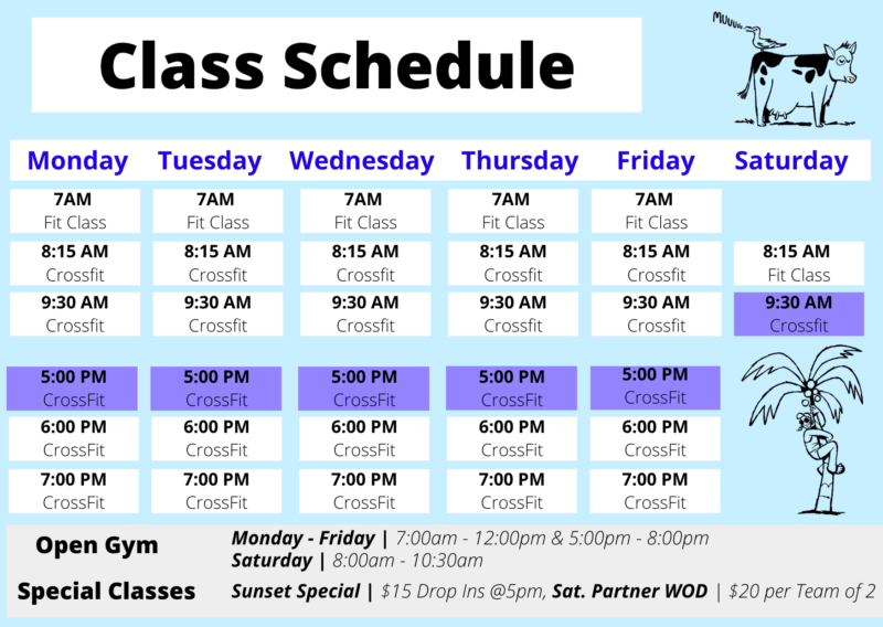 Schedule